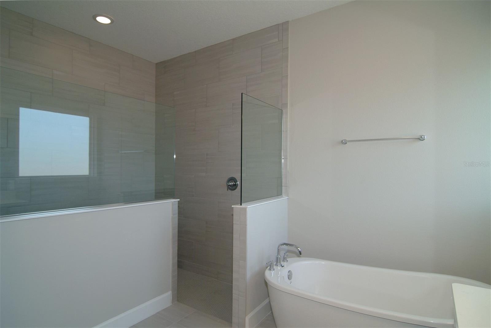 9596 BRAVE BUCK AVE, LAND O LAKES, FL, 34638