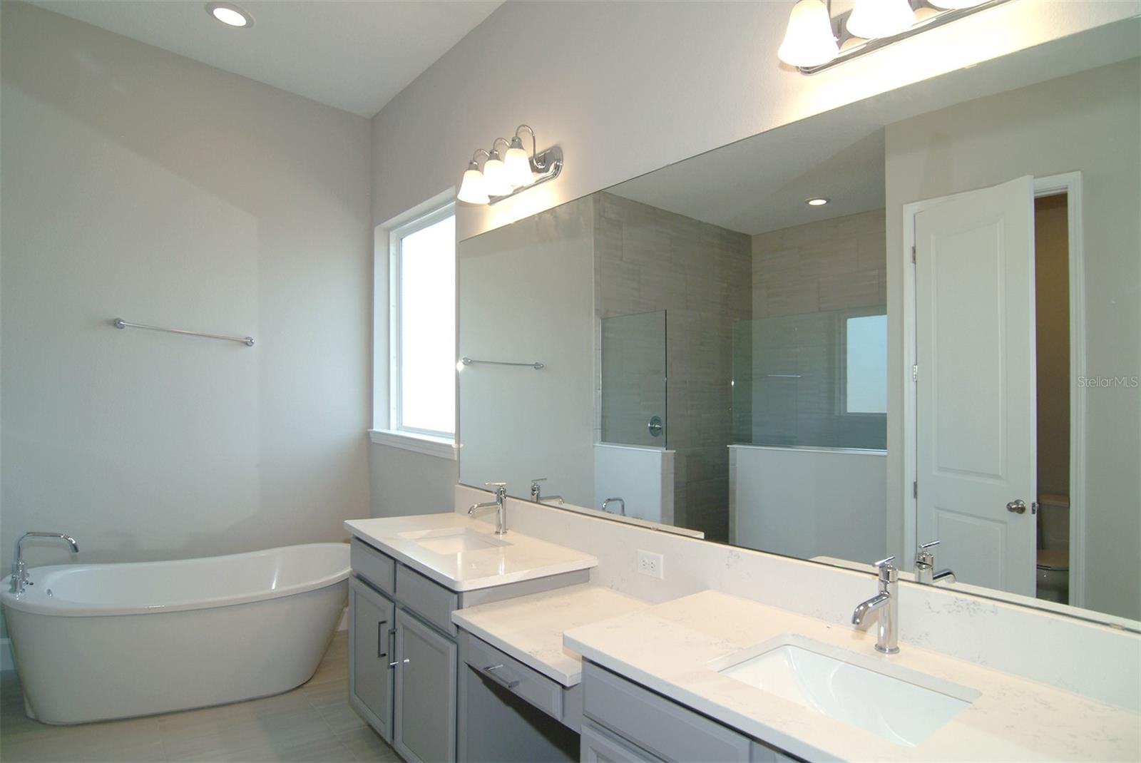 9596 BRAVE BUCK AVE, LAND O LAKES, FL, 34638