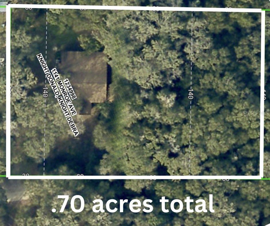 1147 MONROE AVE, BROOKSVILLE, FL, 34604