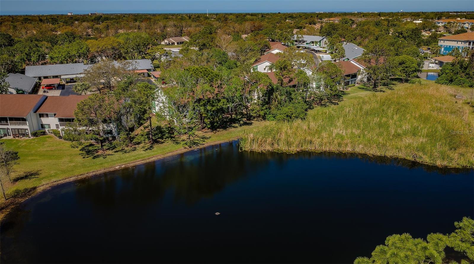 2537 ROYAL PINES CIR #19I, CLEARWATER, FL, 33763