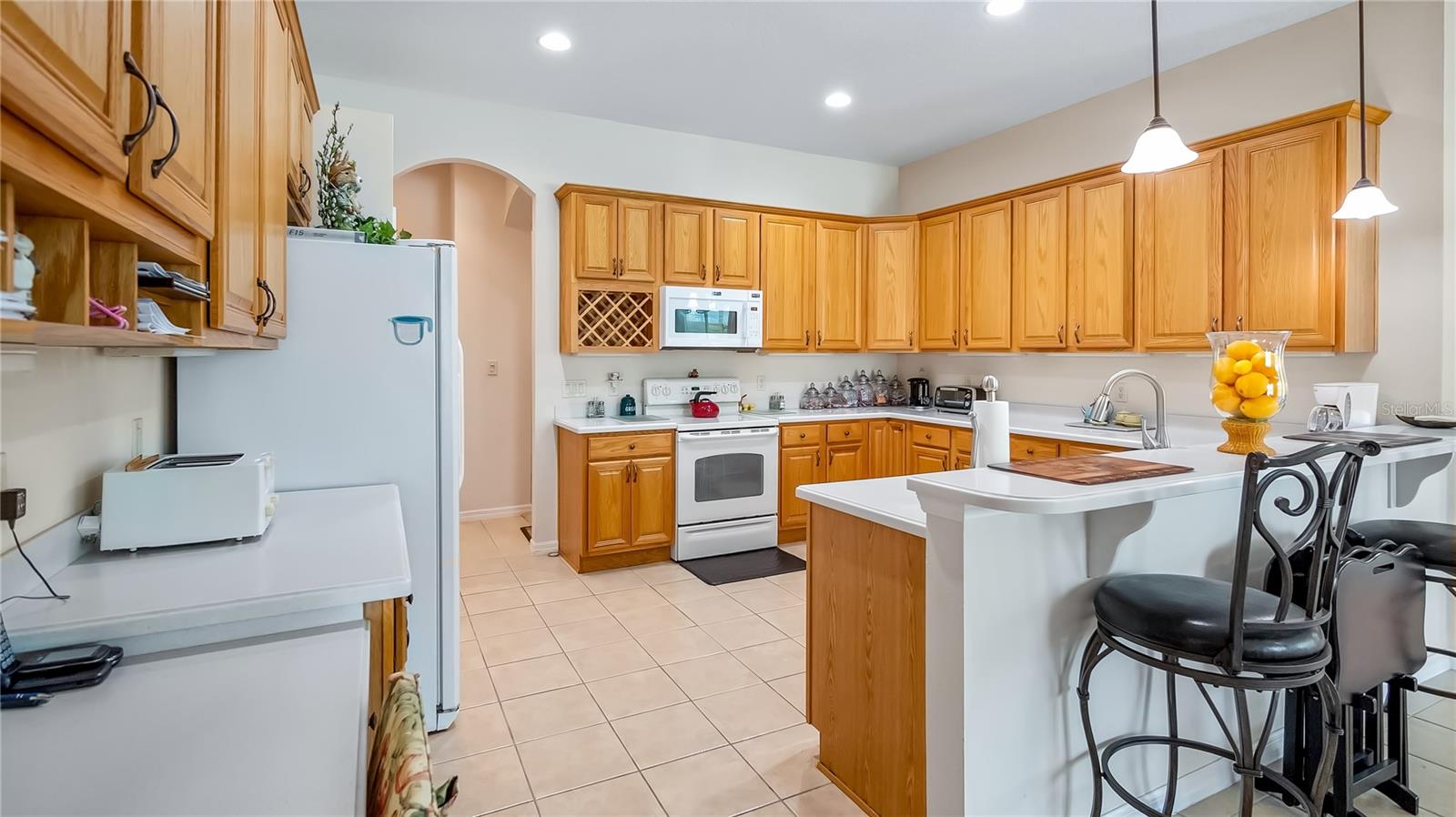 3728 MULBERRY GROVE LOOP, LEESBURG, FL, 34748