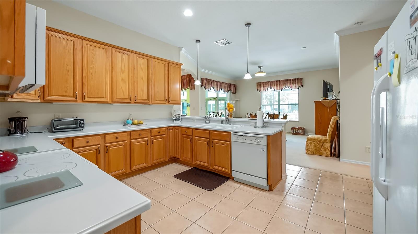 3728 MULBERRY GROVE LOOP, LEESBURG, FL, 34748