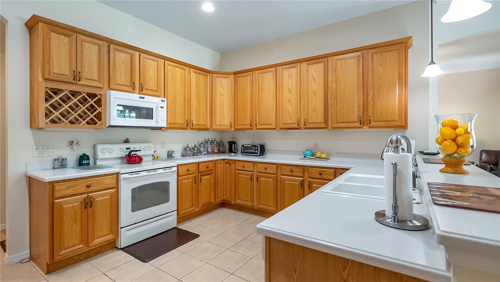 3728 MULBERRY GROVE LOOP, LEESBURG, FL, 34748