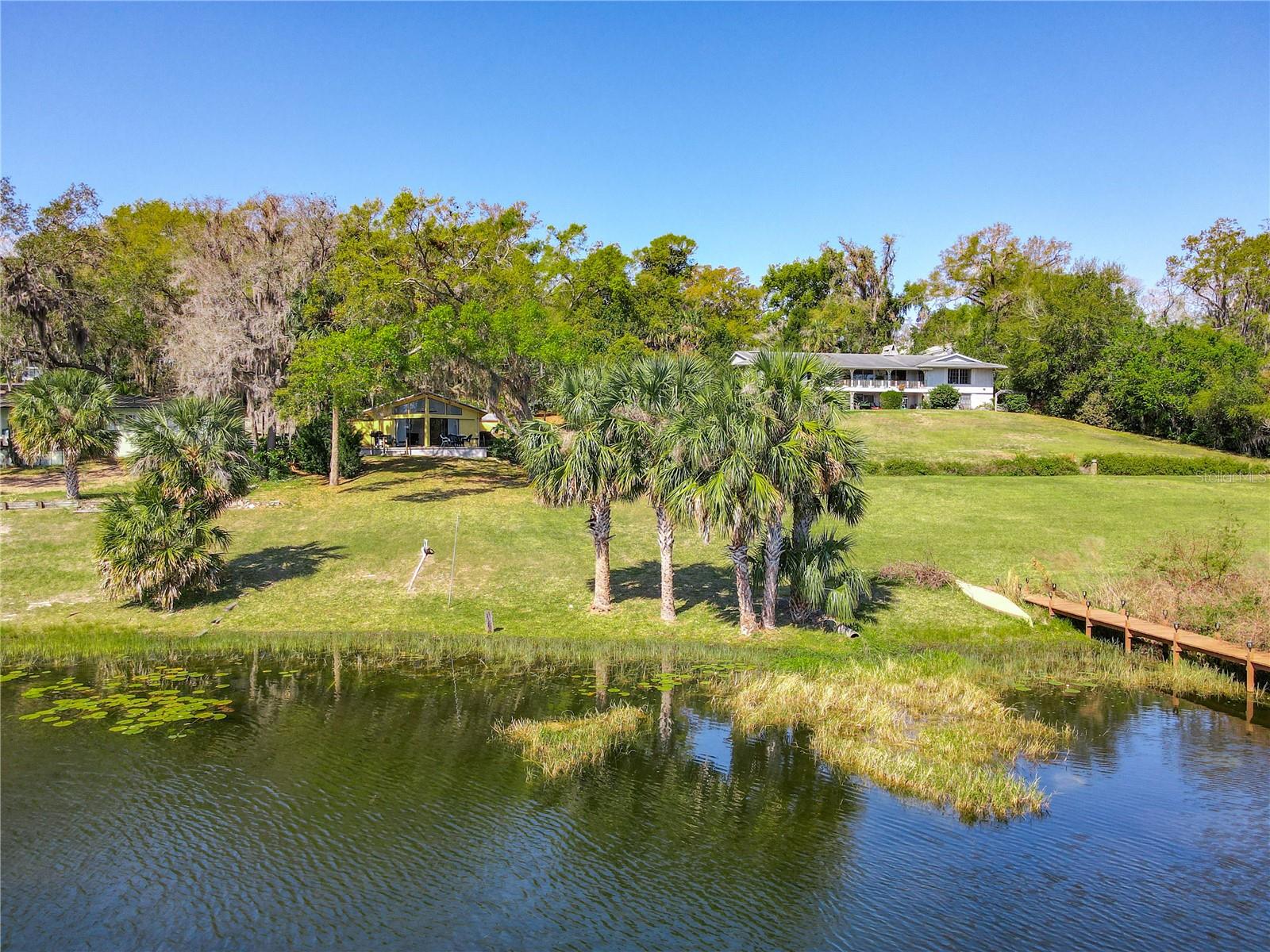 1617 LAKE NETTIE CT, EUSTIS, FL, 32726