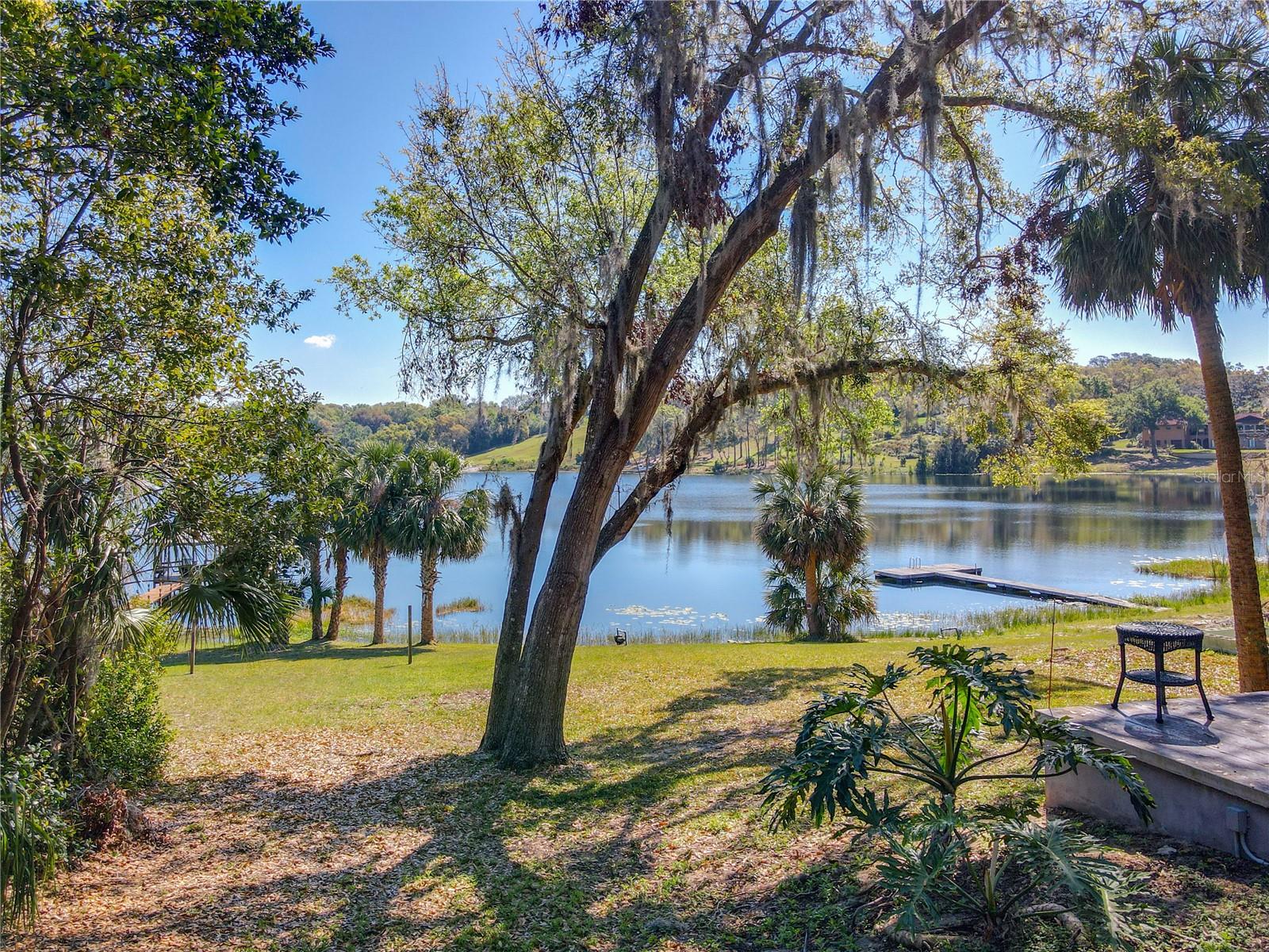 1617 LAKE NETTIE CT, EUSTIS, FL, 32726
