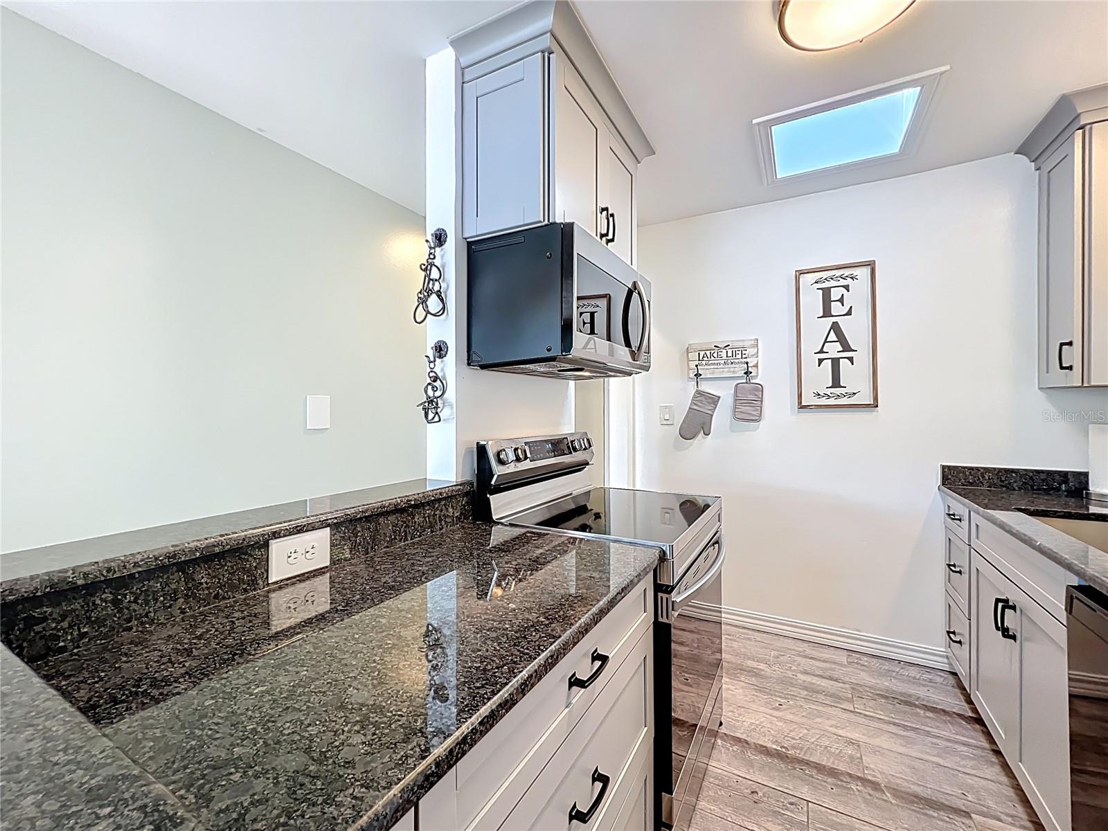 1617 LAKE NETTIE CT, EUSTIS, FL, 32726