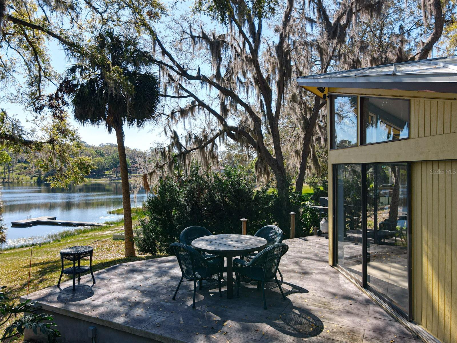 1617 LAKE NETTIE CT, EUSTIS, FL, 32726