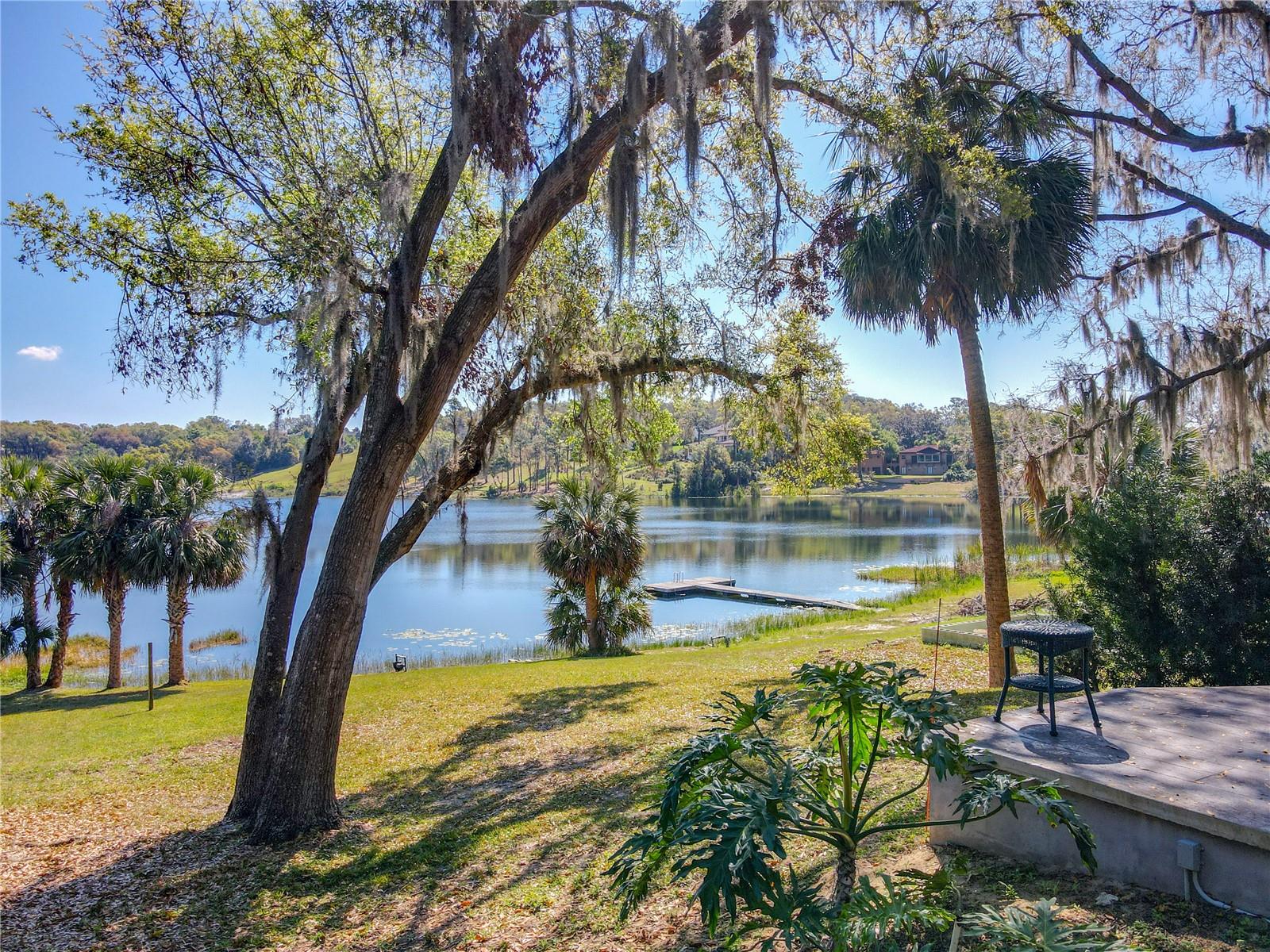 1617 LAKE NETTIE CT, EUSTIS, FL, 32726