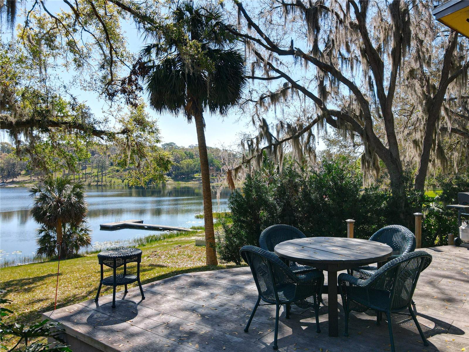1617 LAKE NETTIE CT, EUSTIS, FL, 32726