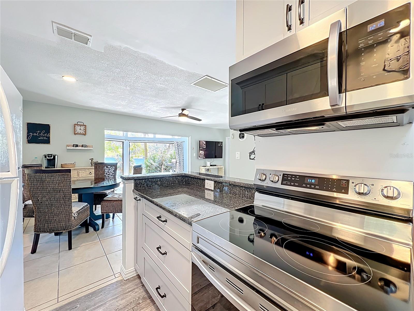 1617 LAKE NETTIE CT, EUSTIS, FL, 32726