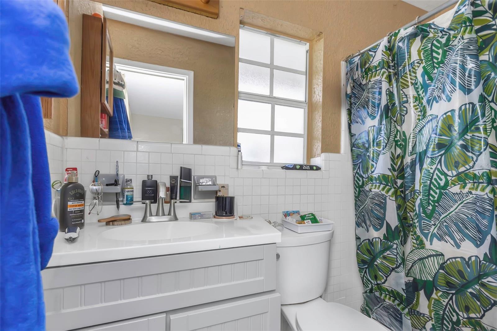 6754 RALSTON BEACH CIR, TAMPA, FL, 33614