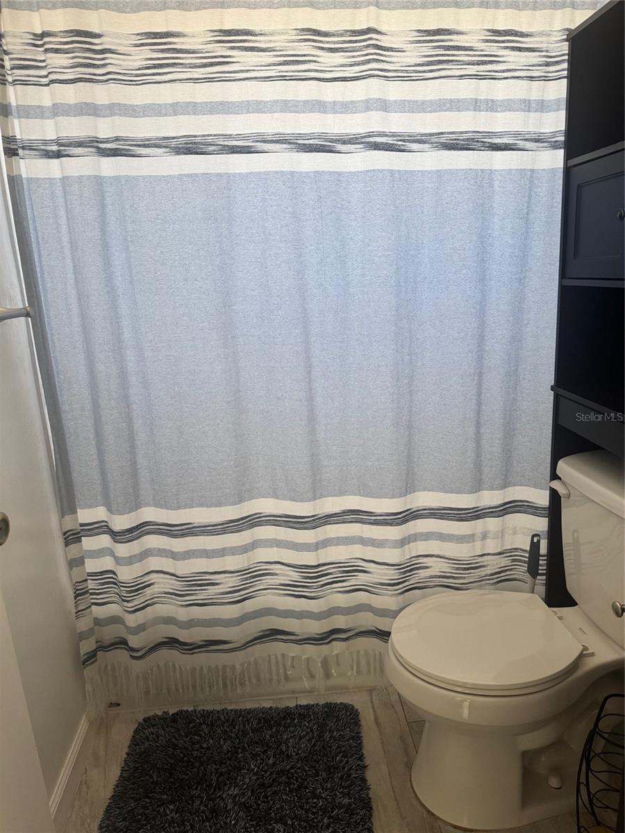 345 W SEMINOLE AVE, EUSTIS, FL, 32726