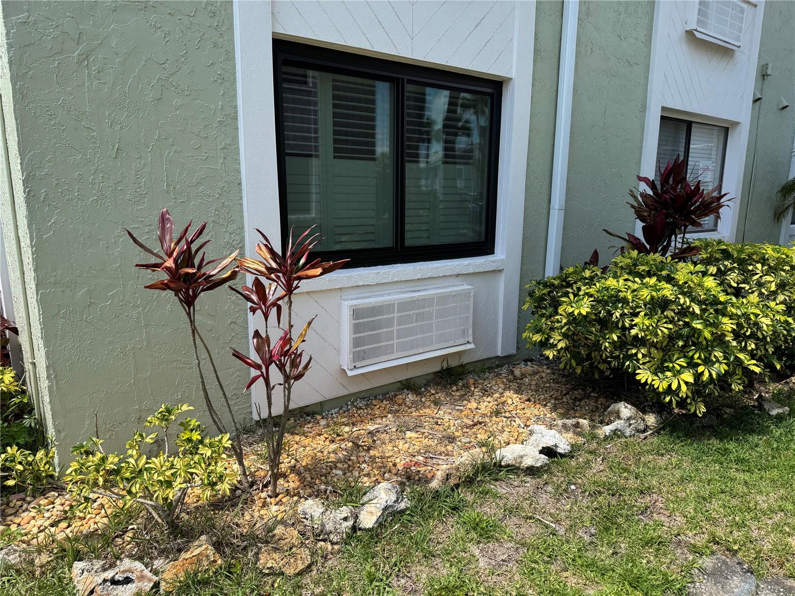 20857 HAULOVER CV #1, LUTZ, FL, 33558
