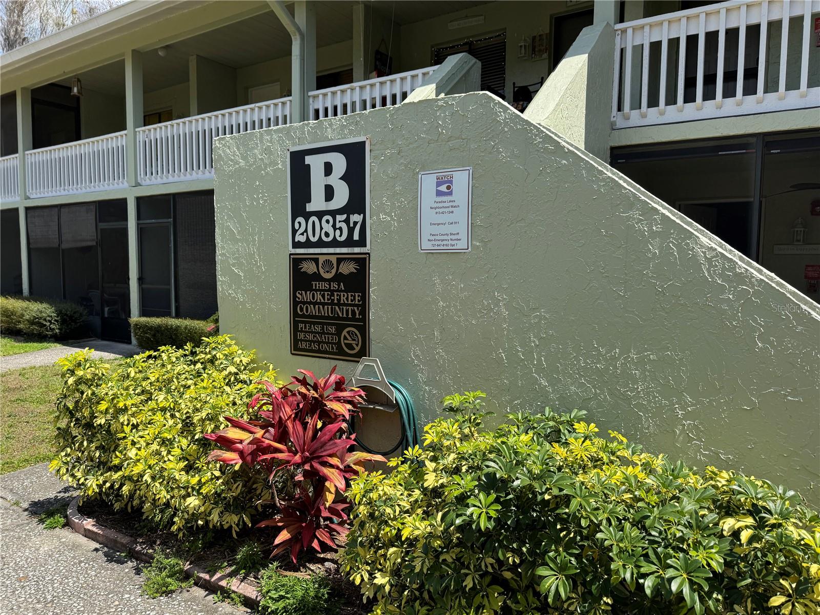 20857 HAULOVER CV #1, LUTZ, FL, 33558
