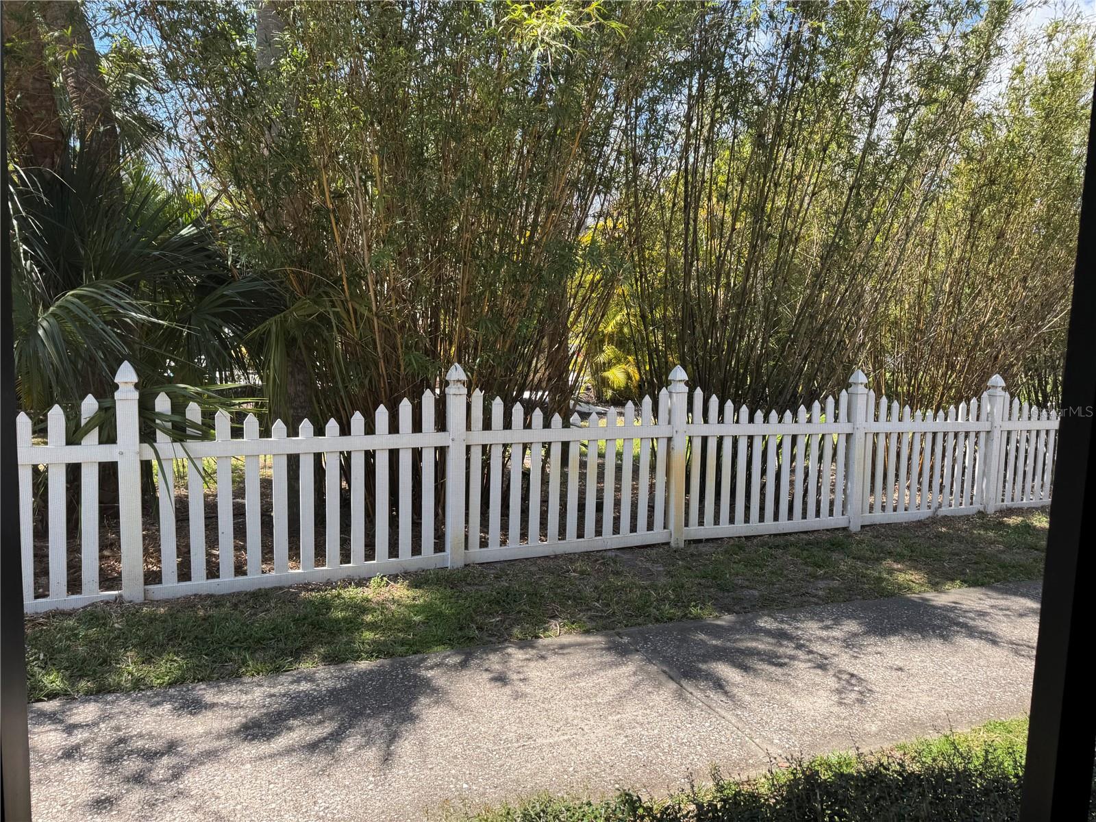20857 HAULOVER CV #1, LUTZ, FL, 33558