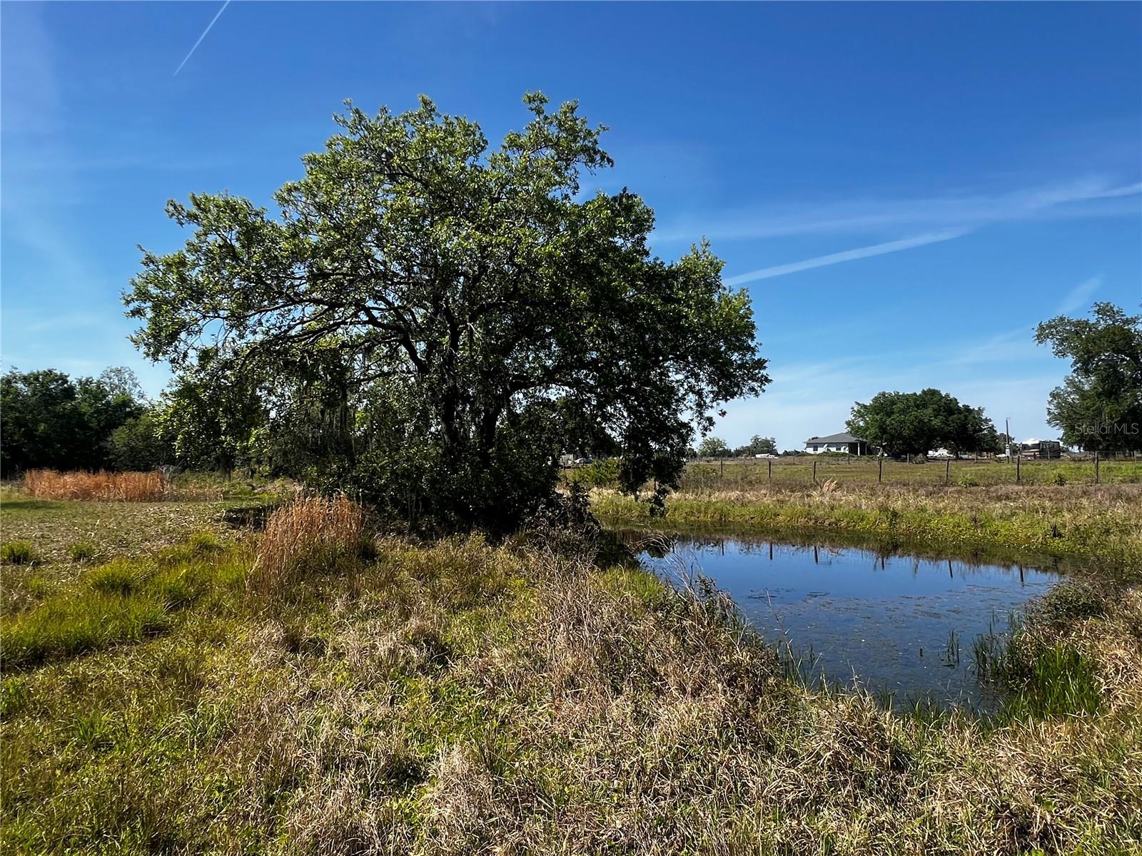 13830 SUGAR BOWL RD, MYAKKA CITY, FL, 34251