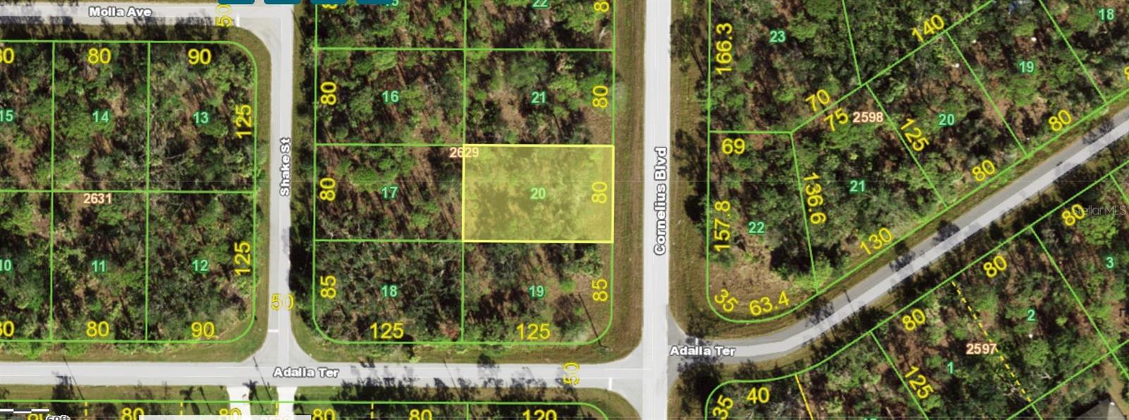 1355 CORNELIUS BLVD, PORT CHARLOTTE, FL, 33953