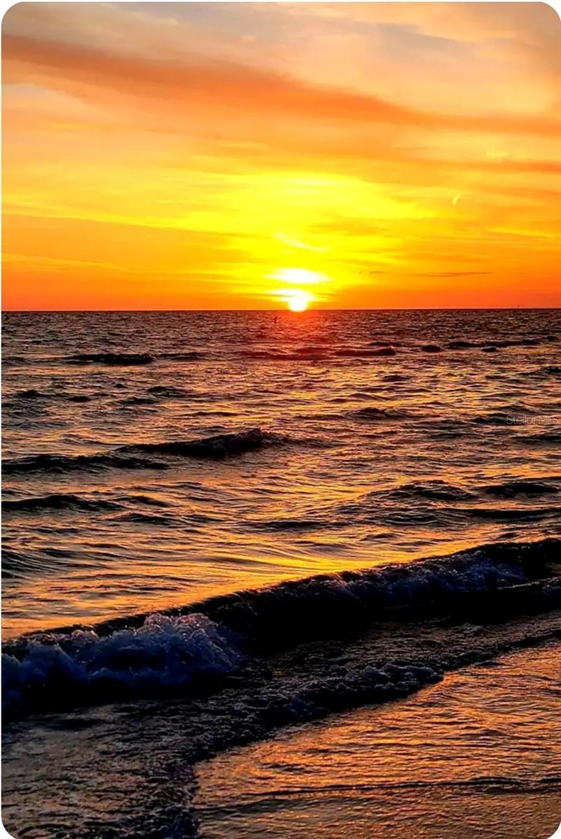 282 TREASURE ISLAND CSWY #19, ST PETERSBURG, FL, 33706