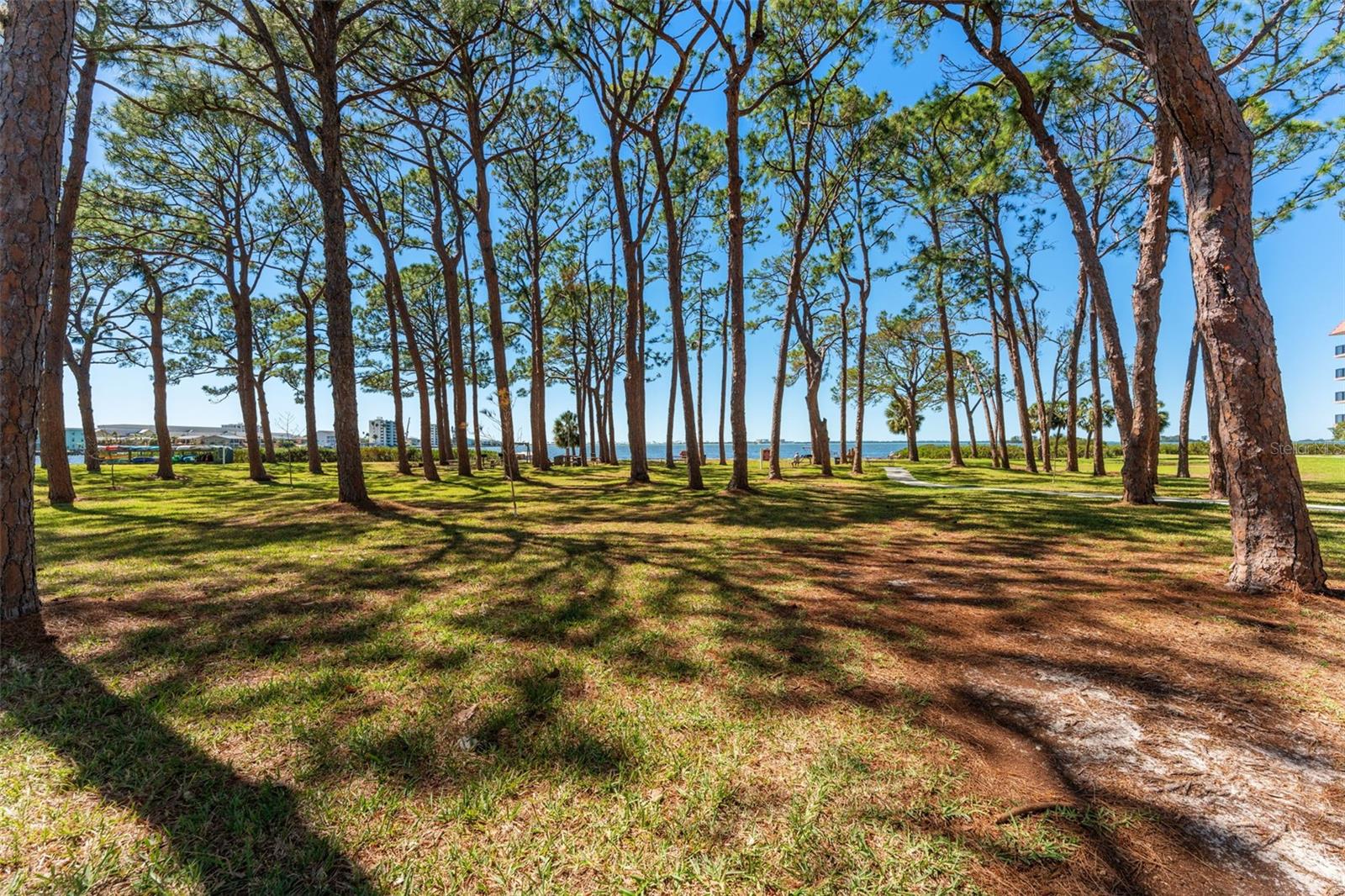2700 BAYSHORE BLVD #512, DUNEDIN, FL, 34698