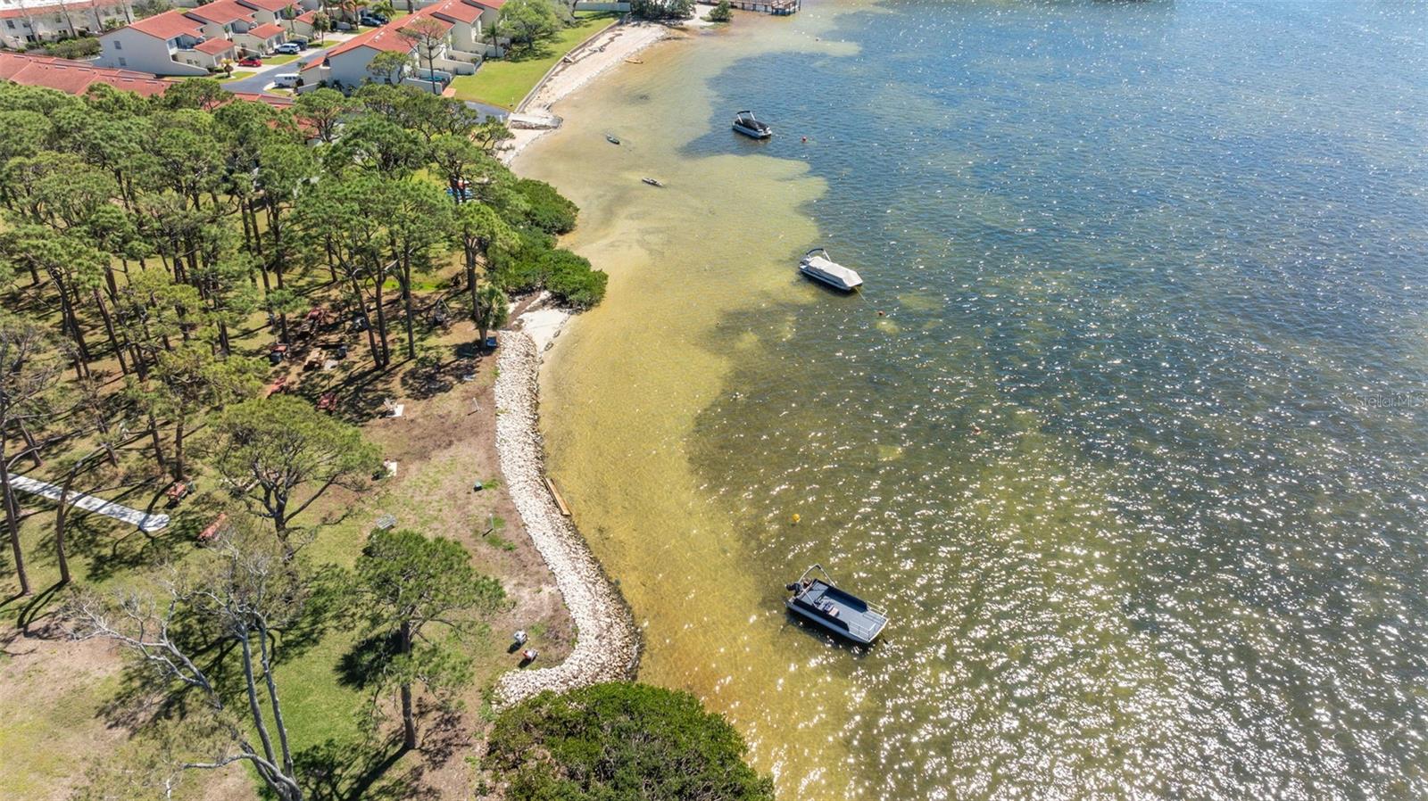 2700 BAYSHORE BLVD #512, DUNEDIN, FL, 34698