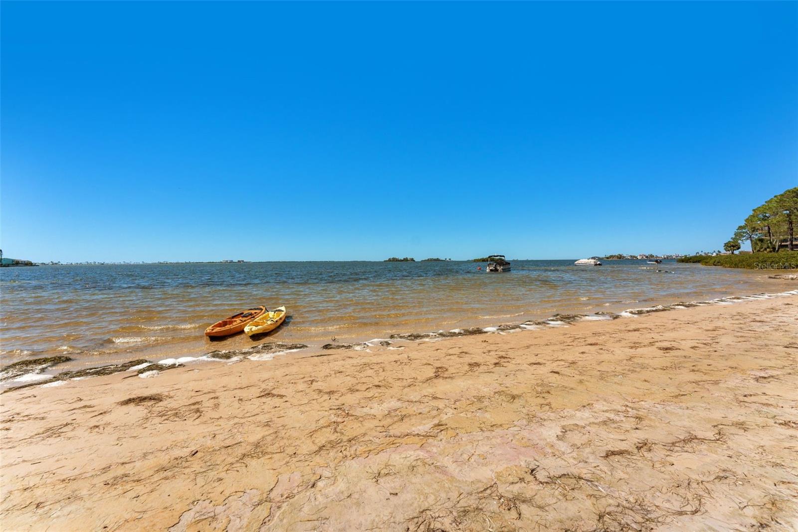 2700 BAYSHORE BLVD #512, DUNEDIN, FL, 34698