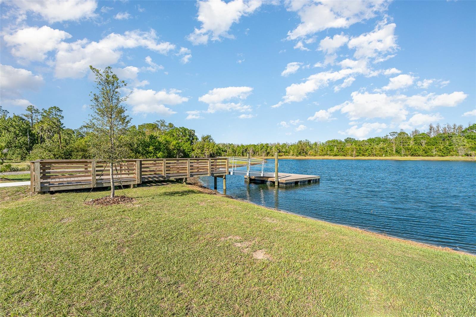 12970 PASTURE WOODS PL, LITHIA, FL, 33547