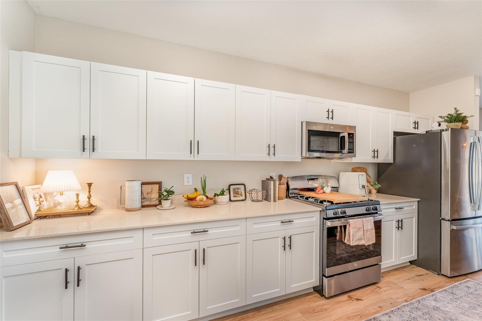 12970 PASTURE WOODS PL, LITHIA, FL, 33547