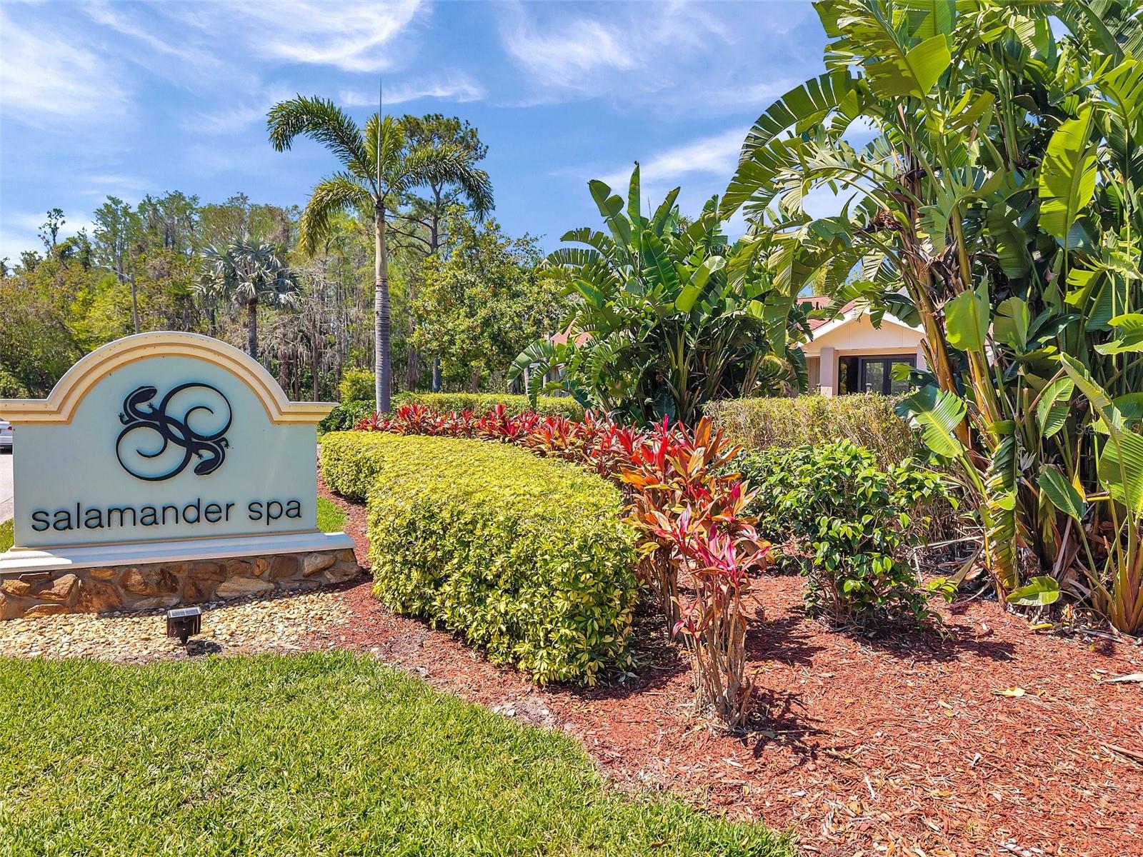 36750 US 19 N #2763, PALM HARBOR, FL, 34684