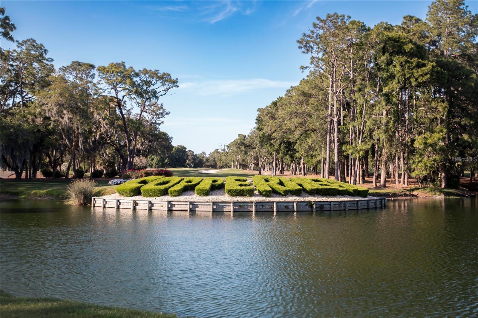 36750 US 19 N #2763, PALM HARBOR, FL, 34684