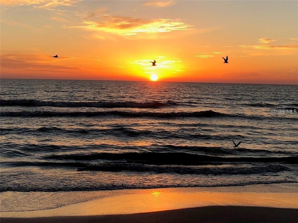 36750 US 19 N #2763, PALM HARBOR, FL, 34684