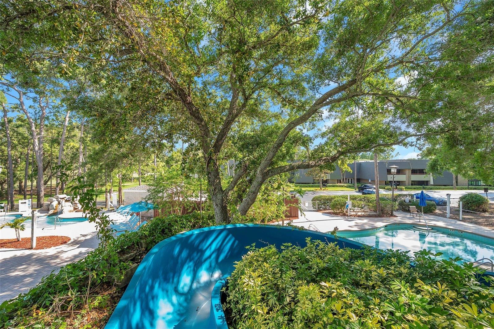 36750 US 19 N #2763, PALM HARBOR, FL, 34684