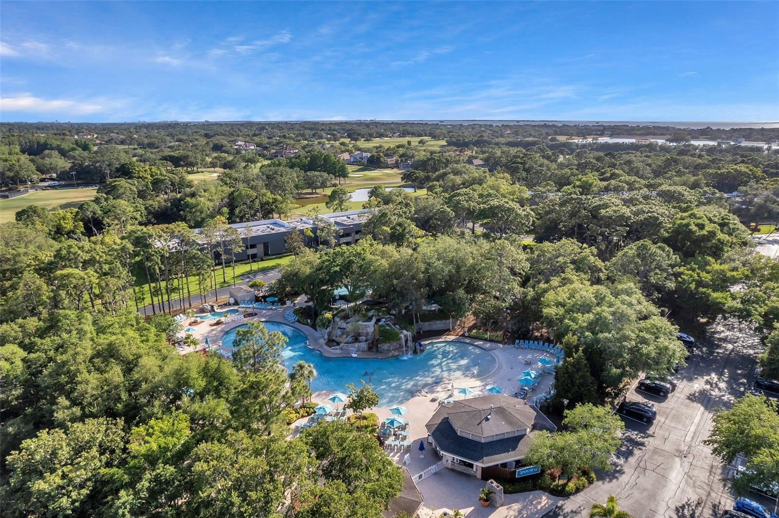 36750 US 19 N #2763, PALM HARBOR, FL, 34684