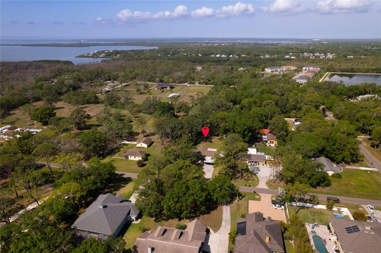 8136 HONEYBEE LN, TAMPA, FL, 33635