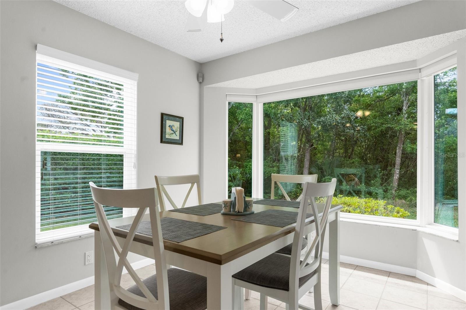 7 SALVIA CT W, HOMOSASSA, FL, 34446