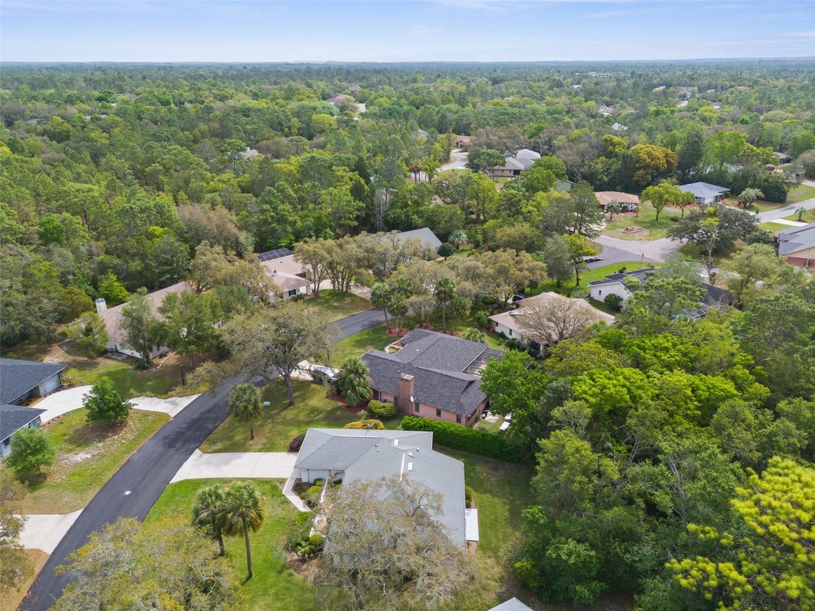 7 SALVIA CT W, HOMOSASSA, FL, 34446