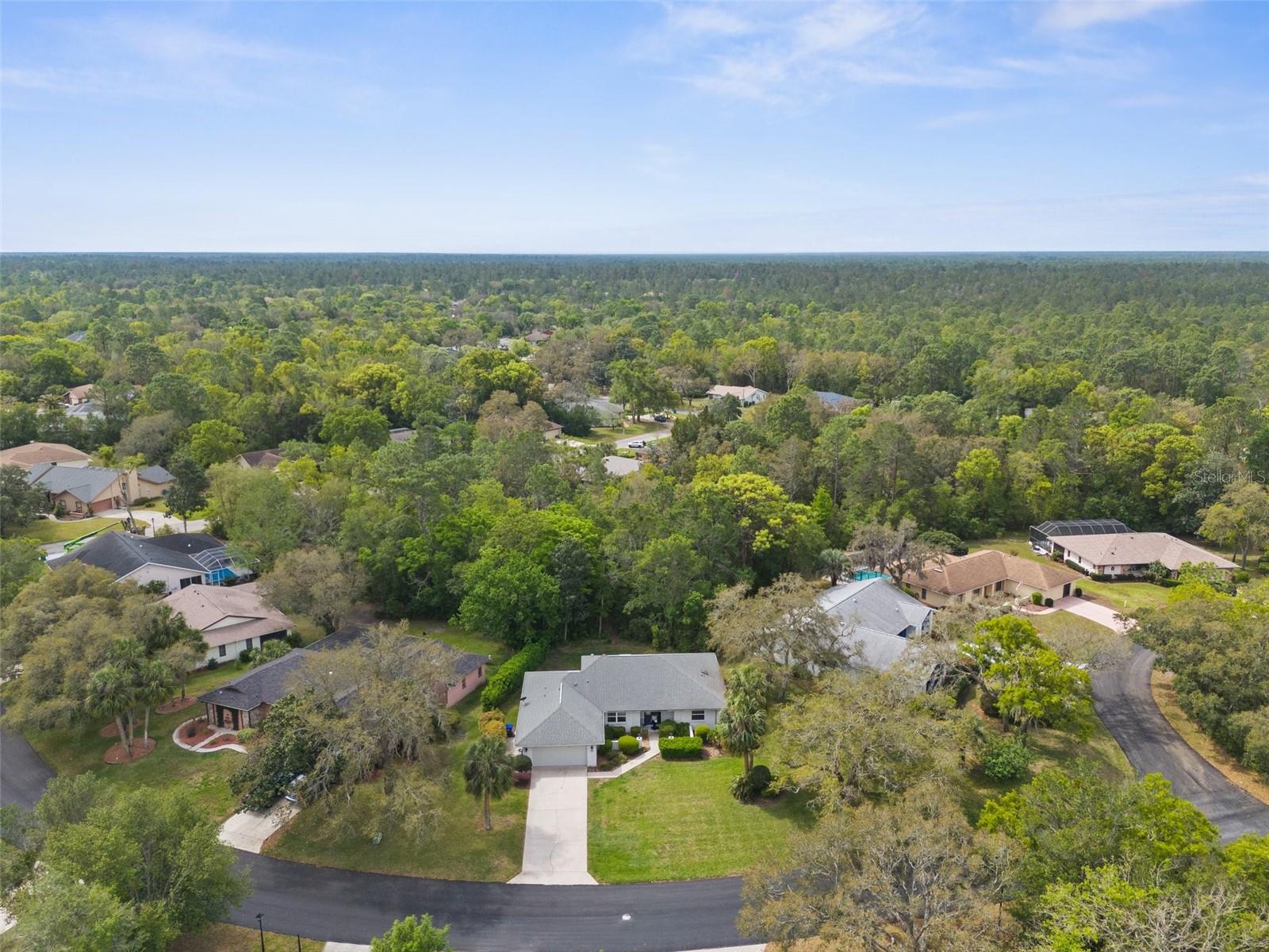 7 SALVIA CT W, HOMOSASSA, FL, 34446