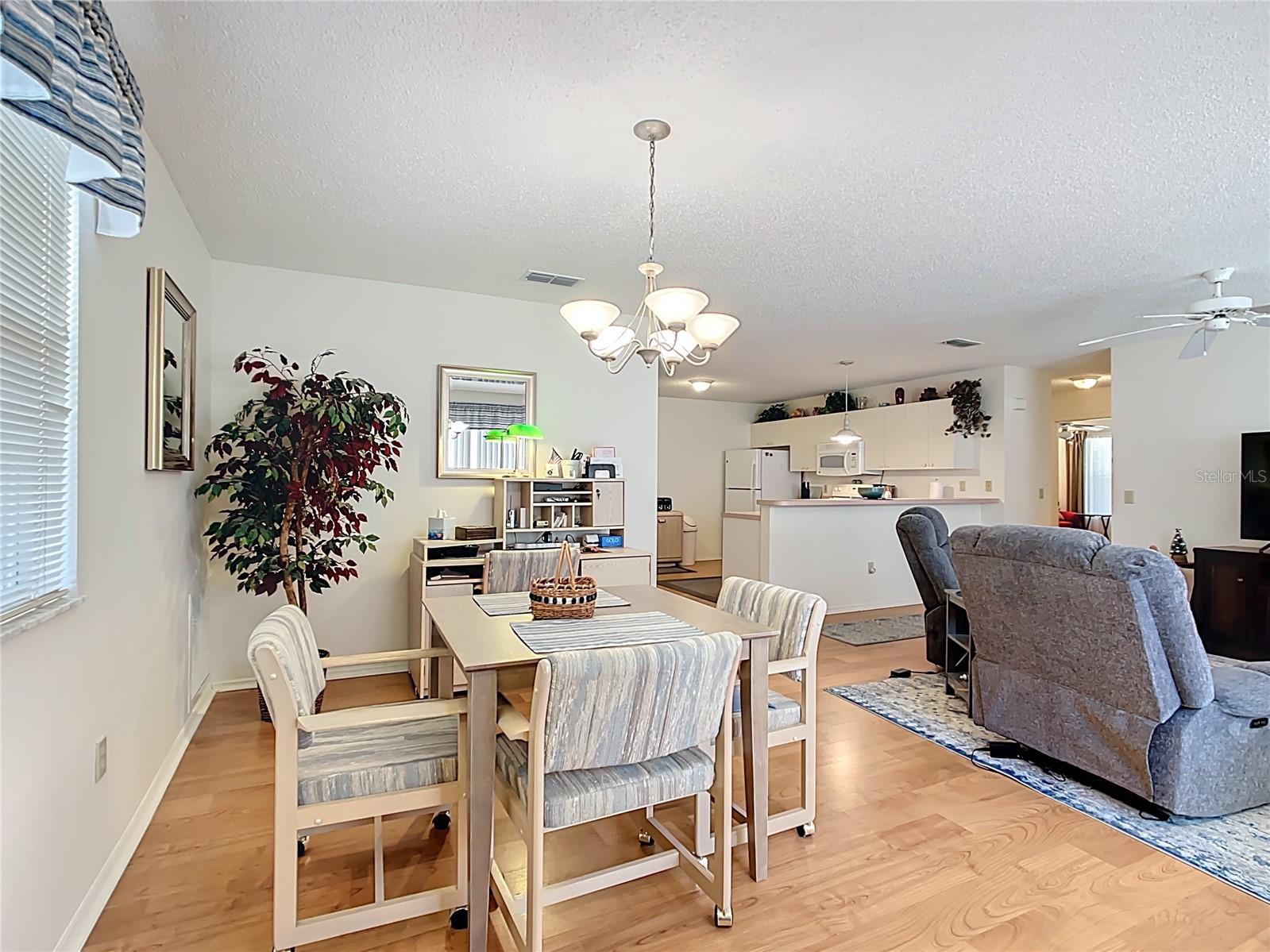 480 HILDALGO DR, THE VILLAGES, FL, 32159