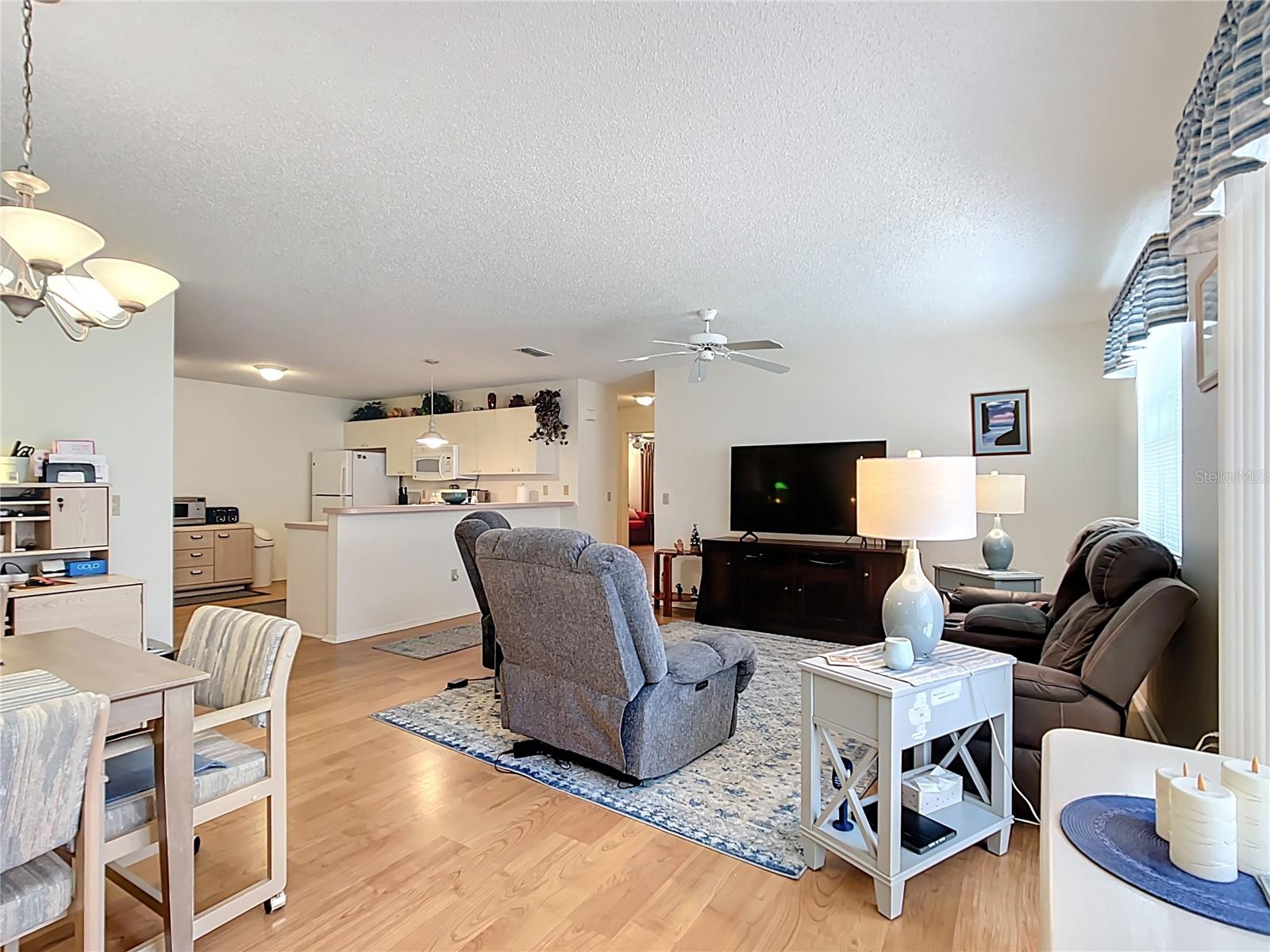 480 HILDALGO DR, THE VILLAGES, FL, 32159