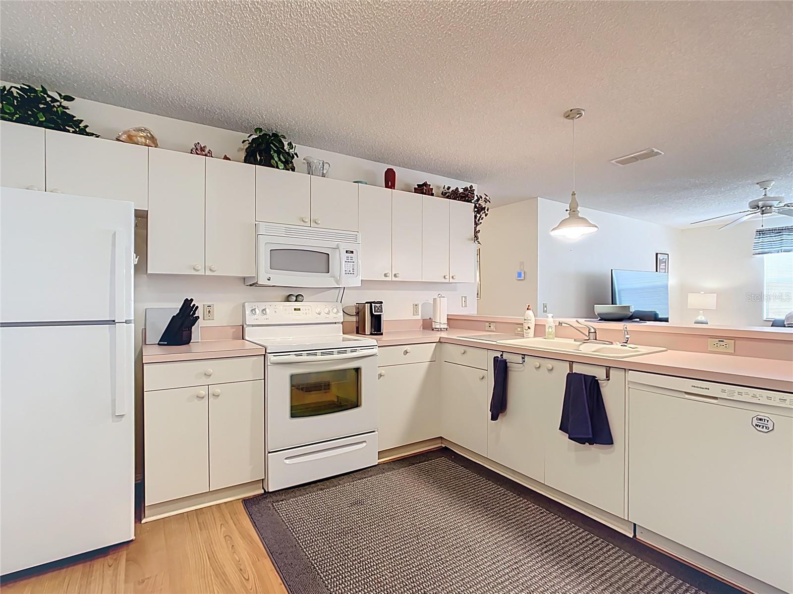480 HILDALGO DR, THE VILLAGES, FL, 32159