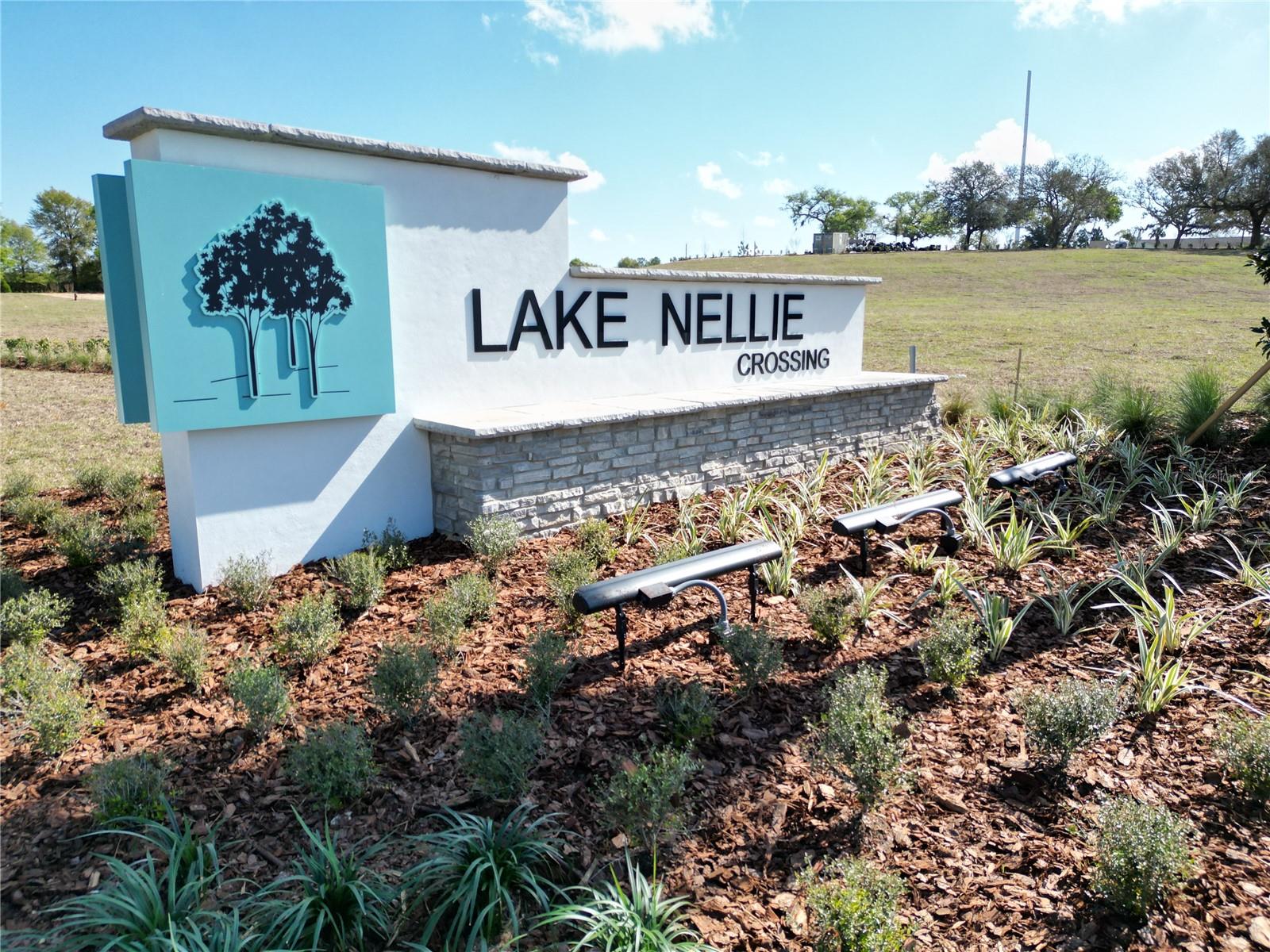 11026 NELLIE CROSSING CIR, CLERMONT, FL, 34711
