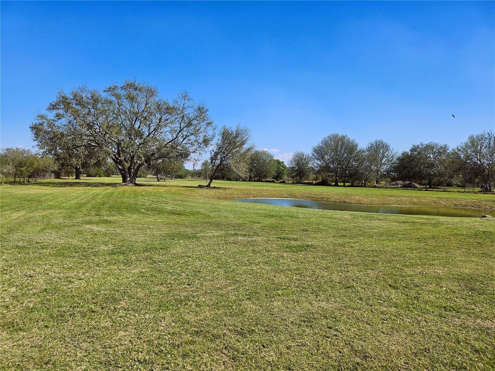 3332 BEAR BAY RD, MYAKKA CITY, FL, 34251