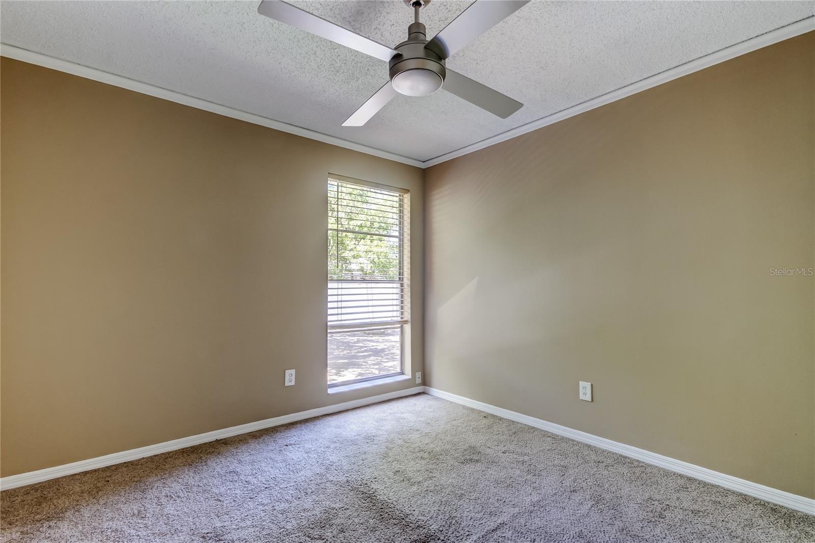 15203 W POND WOODS DR, TAMPA, FL, 33618