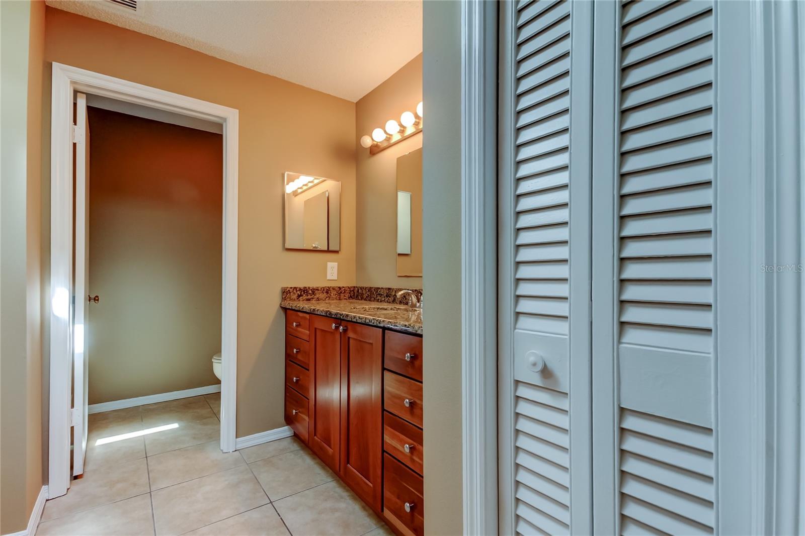 15203 W POND WOODS DR, TAMPA, FL, 33618