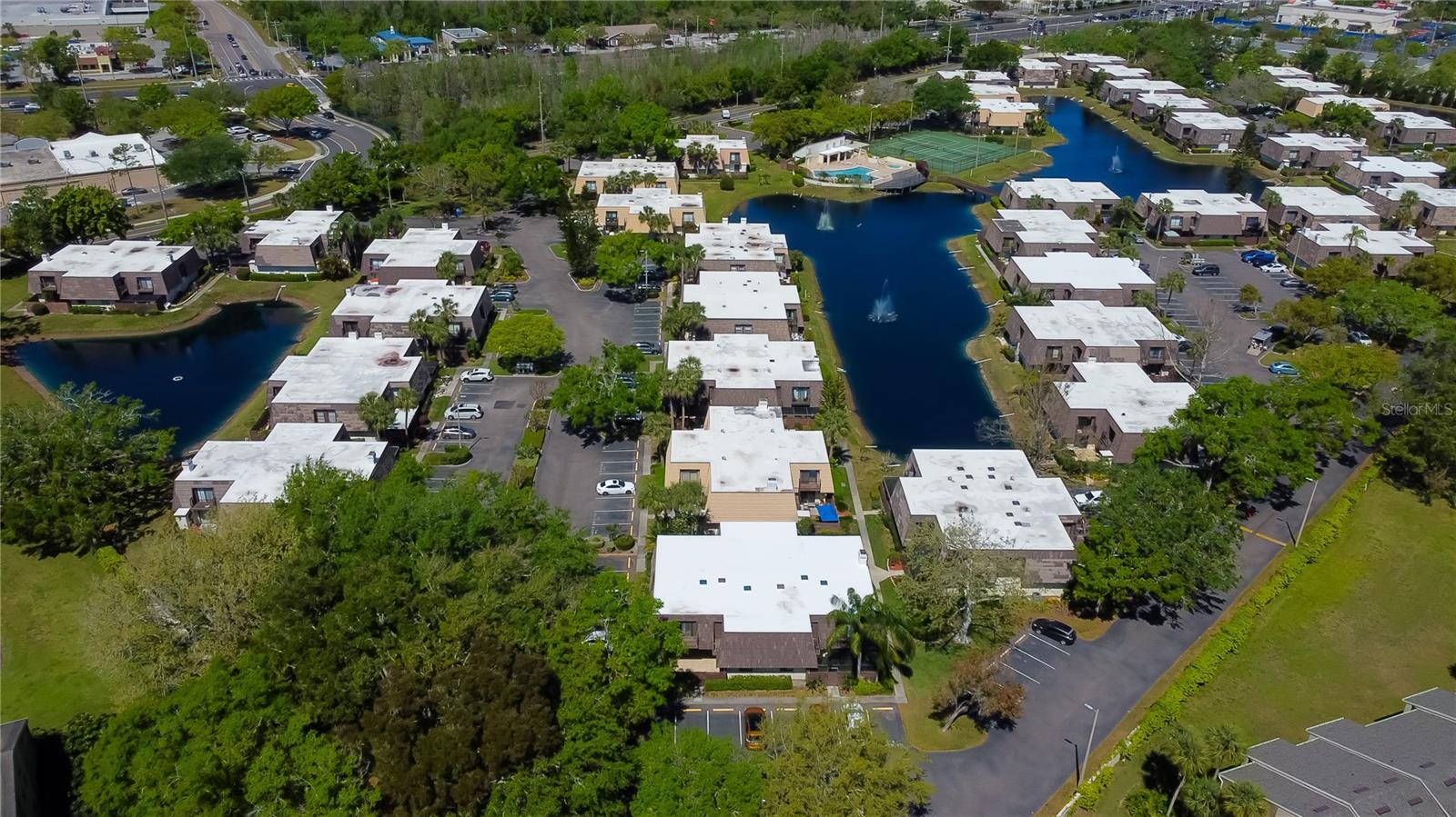 15203 W POND WOODS DR, TAMPA, FL, 33618