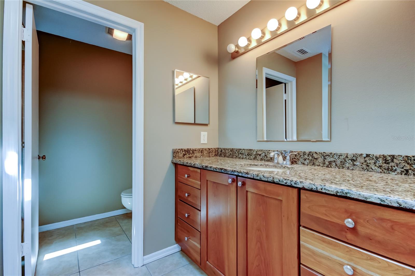 15203 W POND WOODS DR, TAMPA, FL, 33618