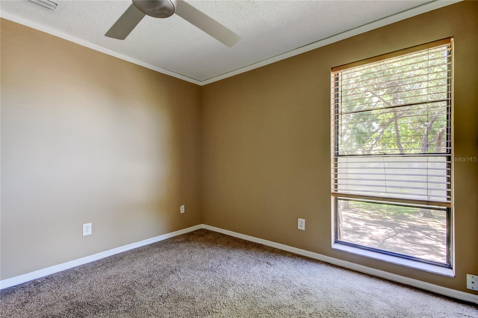 15203 W POND WOODS DR, TAMPA, FL, 33618