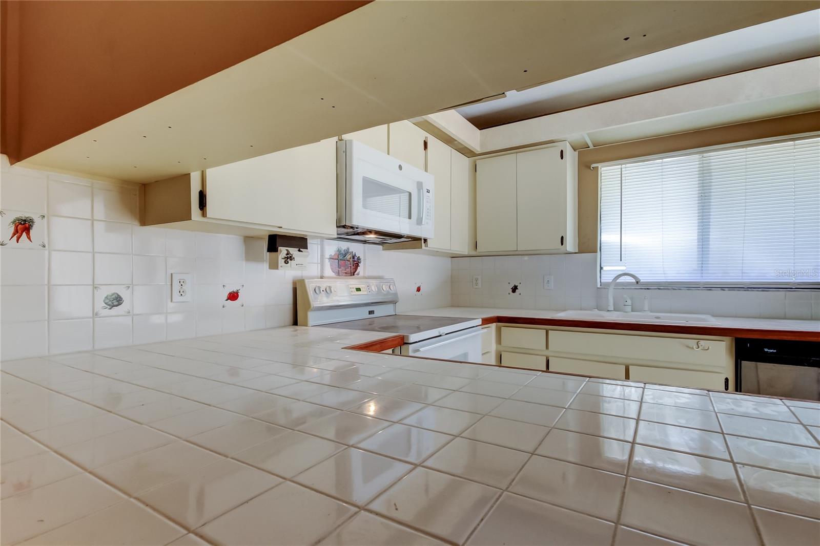 15203 W POND WOODS DR, TAMPA, FL, 33618