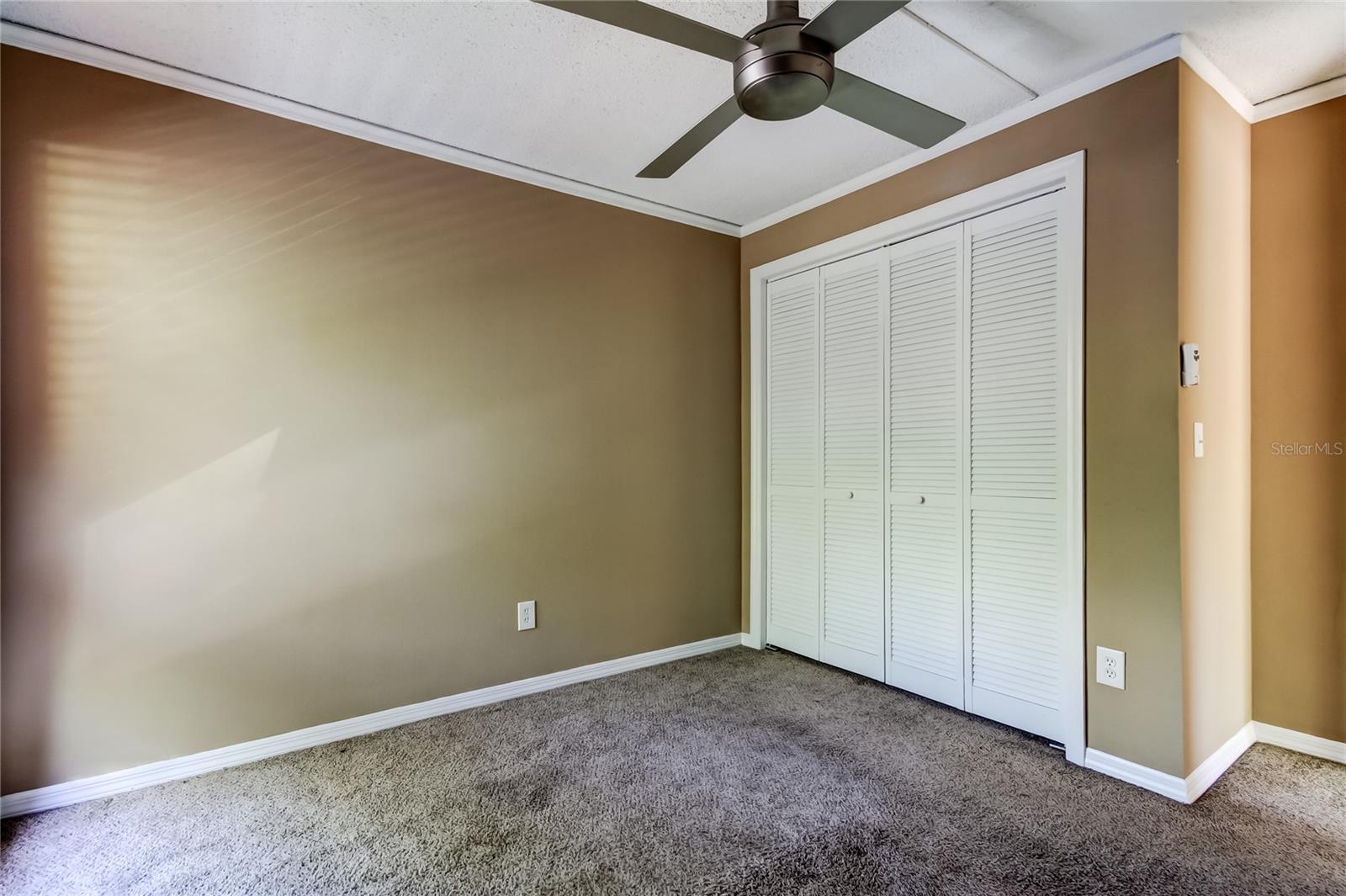 15203 W POND WOODS DR, TAMPA, FL, 33618
