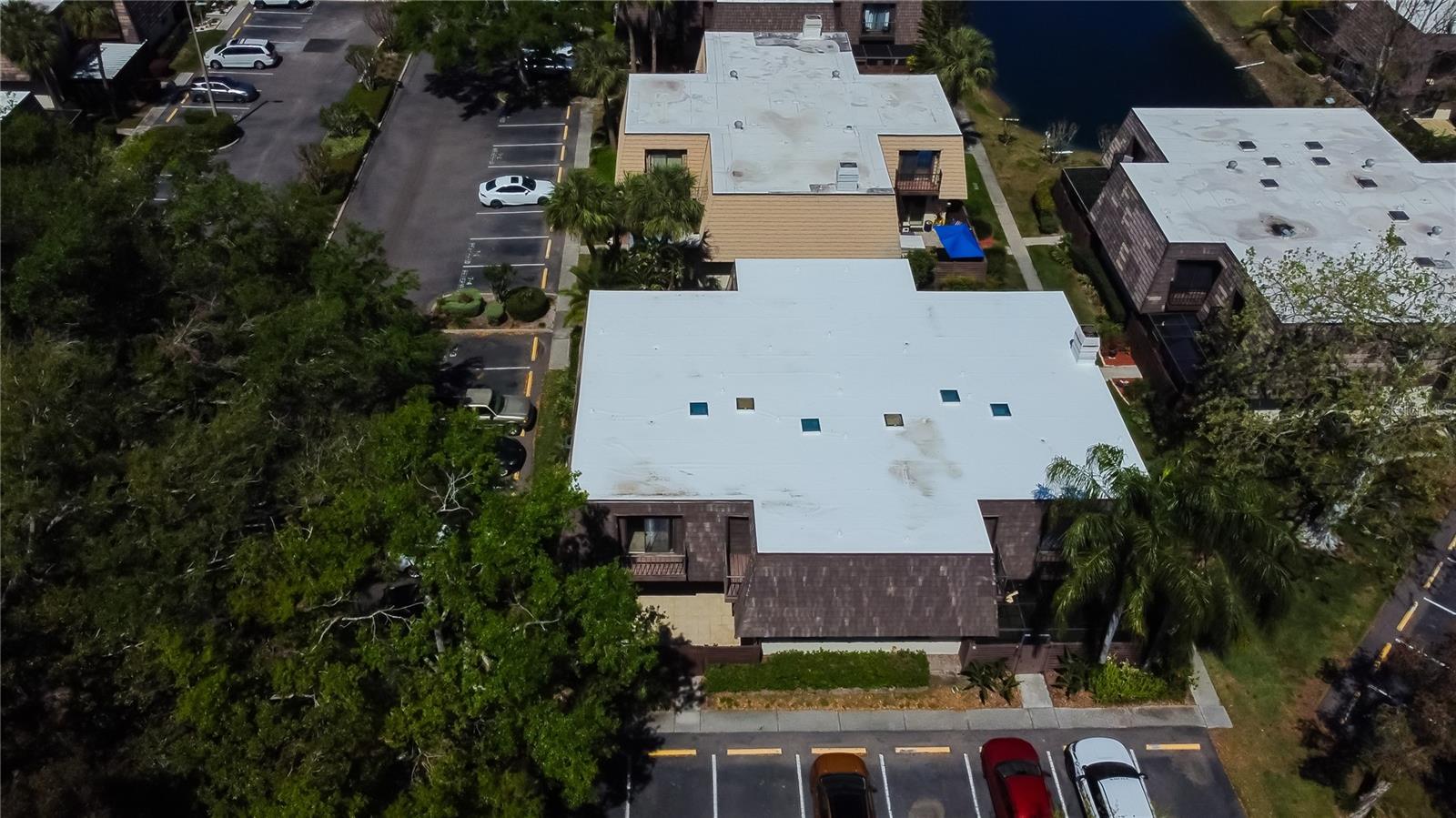 15203 W POND WOODS DR, TAMPA, FL, 33618