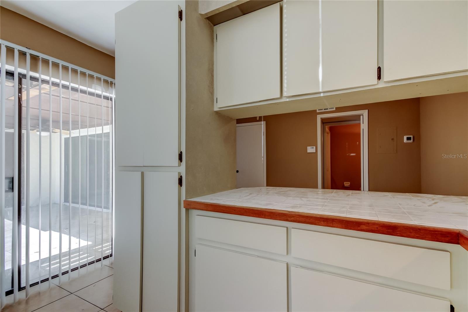 15203 W POND WOODS DR, TAMPA, FL, 33618